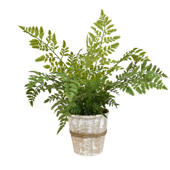 Load image into Gallery viewer, 15” Artificial River Fern Plant in Handcrafted Paper Pot - The Street Boutique 
